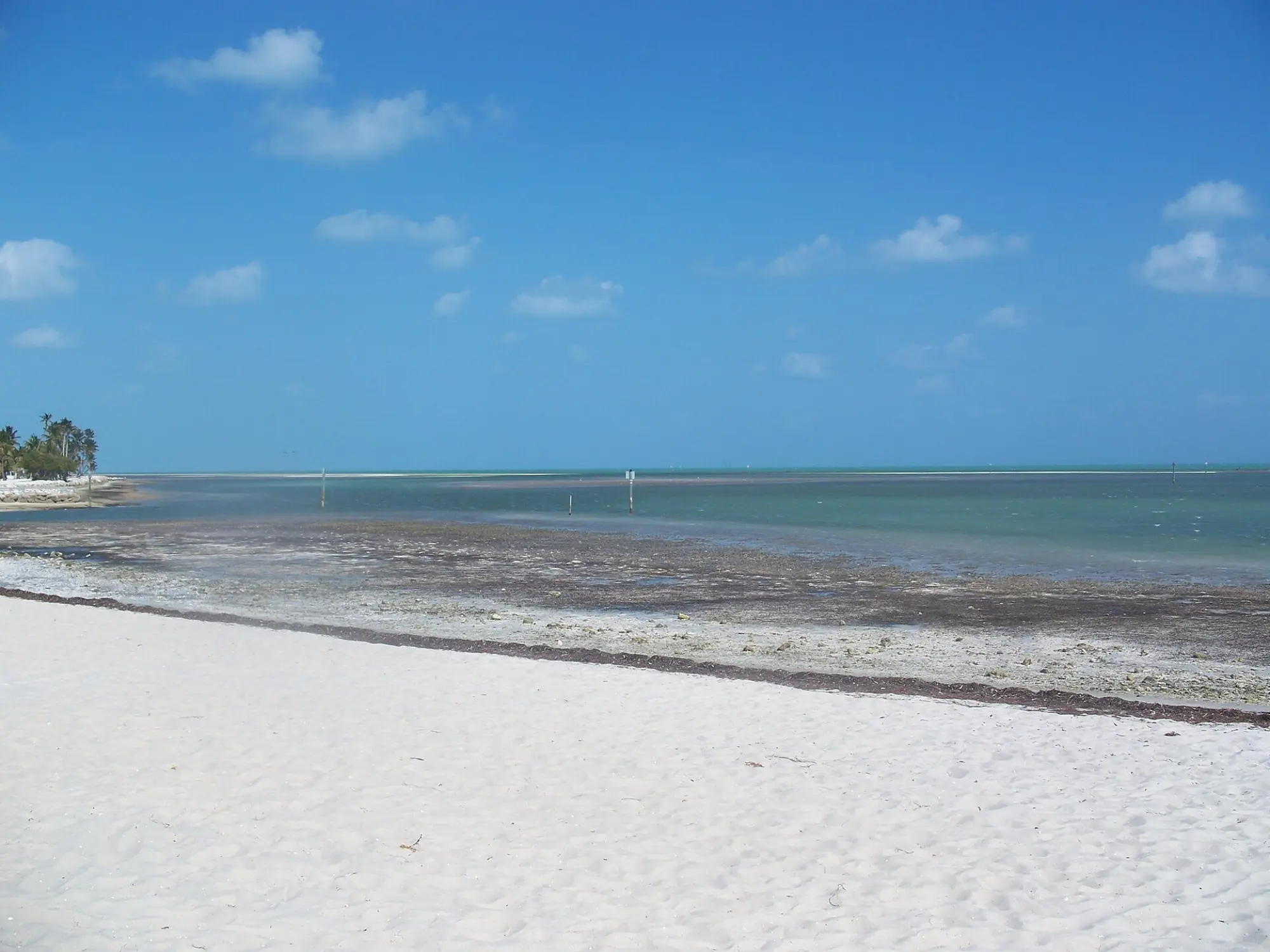 Matheson Hammock beach