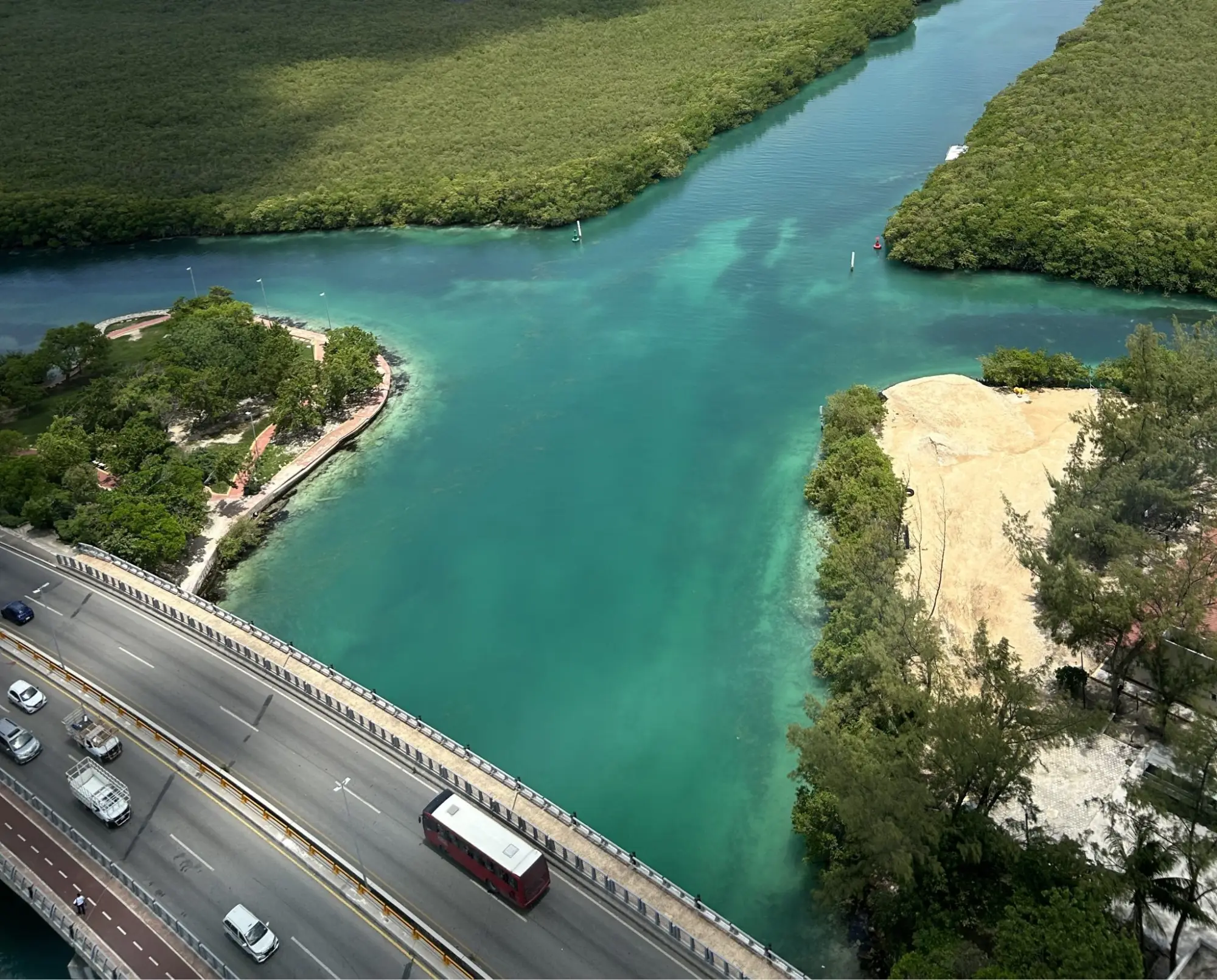 Mangrove shoreline along Biscayne Bay