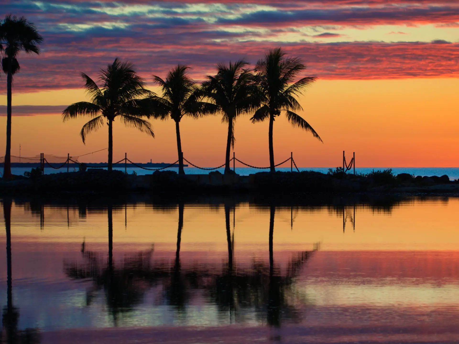 Matheson Hammock marina and mangroves