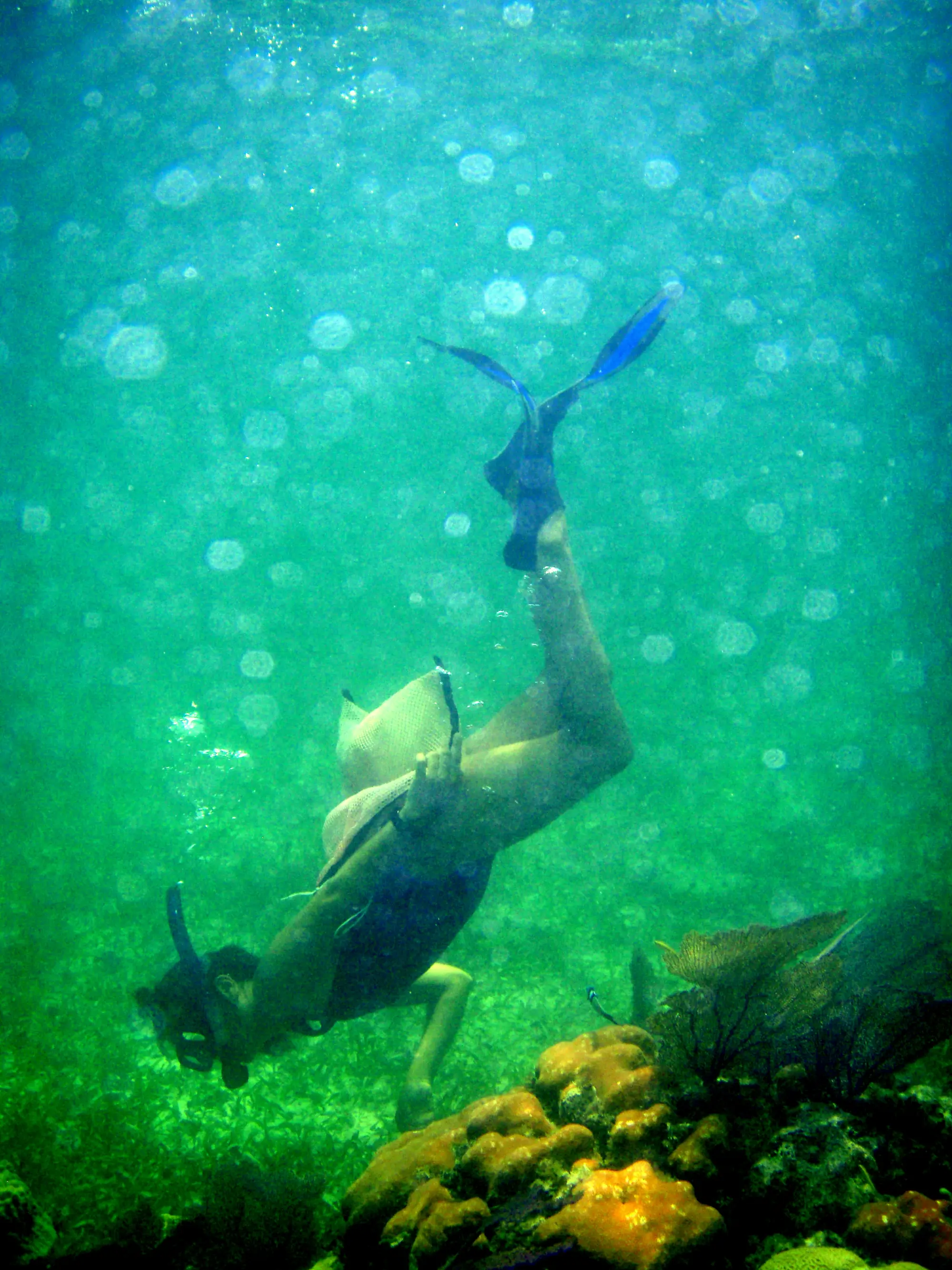 Snorkelling the flats